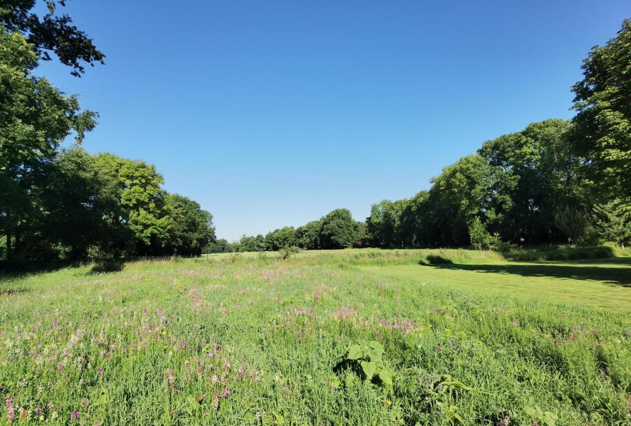 Vila Haus Donata Fischerhude Exteriér fotografie